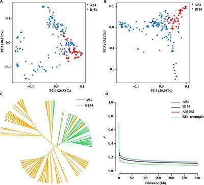 Identification of Ear Morphology Genes in Maize (Zea mays L.) Using Selective Sweeps and Association Mapping